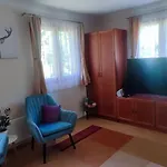 Vida - *